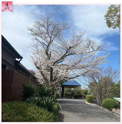 クイズ　この写真はどこのコースでしょう？