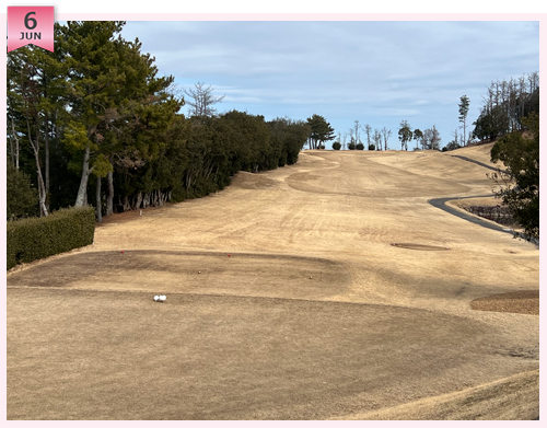 クイズ　この写真はどこのコースでしょう？