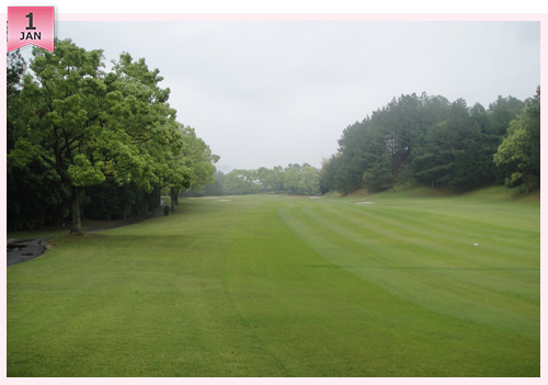 クイズ この写真はどこのコースでしょう?